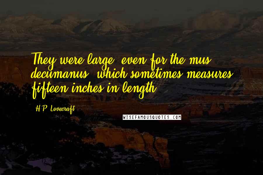 H.P. Lovecraft Quotes: They were large, even for the mus decumanus, which sometimes measures fifteen inches in length,