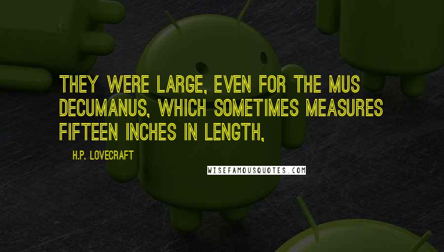 H.P. Lovecraft Quotes: They were large, even for the mus decumanus, which sometimes measures fifteen inches in length,