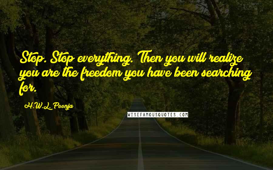 H.W.L. Poonja Quotes: Stop. Stop everything. Then you will realize you are the freedom you have been searching for.