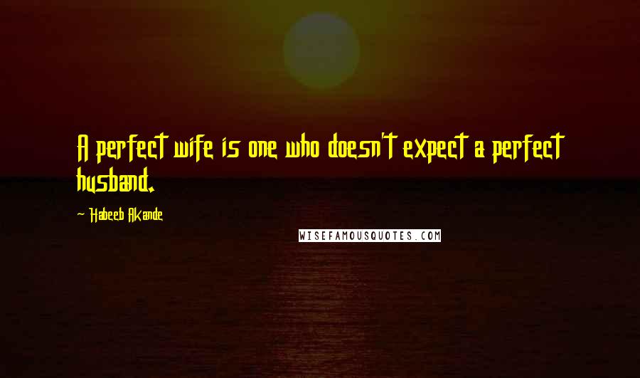 Habeeb Akande Quotes: A perfect wife is one who doesn't expect a perfect husband.