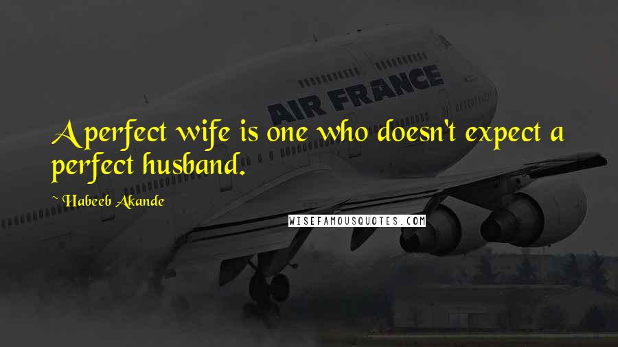 Habeeb Akande Quotes: A perfect wife is one who doesn't expect a perfect husband.