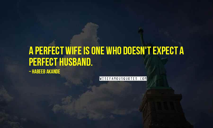 Habeeb Akande Quotes: A perfect wife is one who doesn't expect a perfect husband.