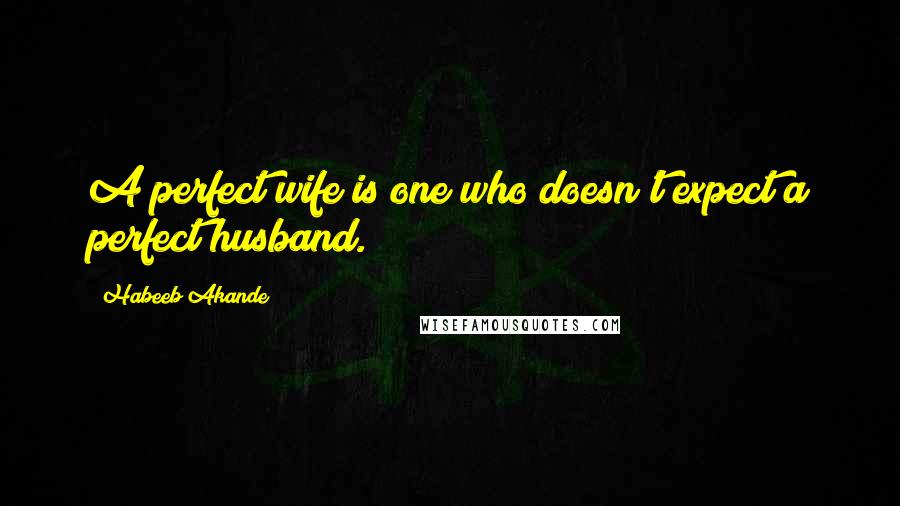 Habeeb Akande Quotes: A perfect wife is one who doesn't expect a perfect husband.