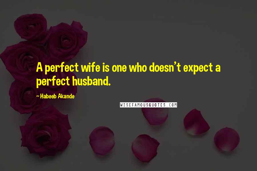 Habeeb Akande Quotes: A perfect wife is one who doesn't expect a perfect husband.