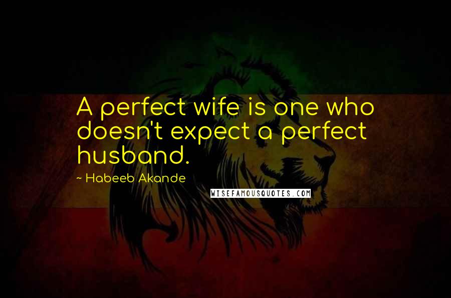Habeeb Akande Quotes: A perfect wife is one who doesn't expect a perfect husband.