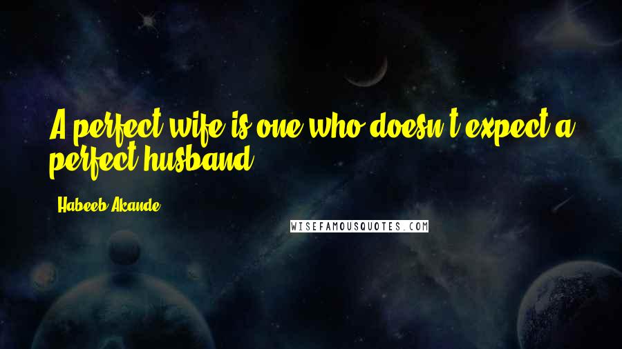 Habeeb Akande Quotes: A perfect wife is one who doesn't expect a perfect husband.