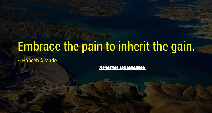 Habeeb Akande Quotes: Embrace the pain to inherit the gain.