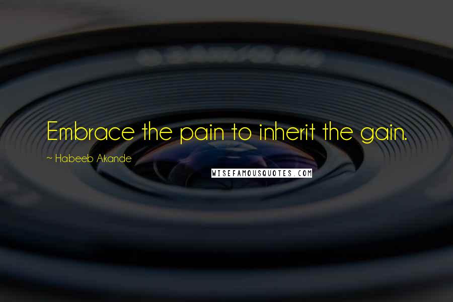 Habeeb Akande Quotes: Embrace the pain to inherit the gain.