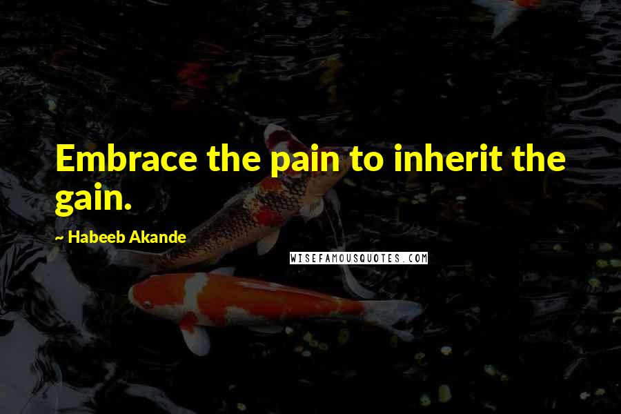Habeeb Akande Quotes: Embrace the pain to inherit the gain.