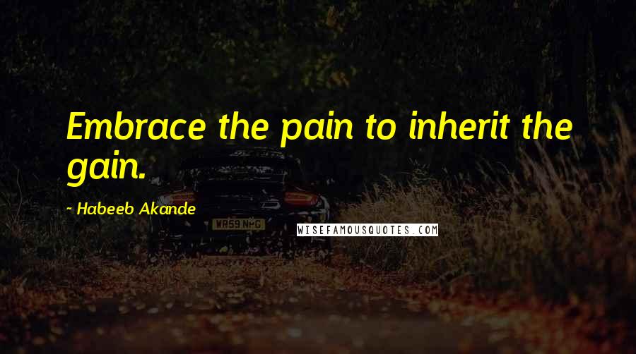 Habeeb Akande Quotes: Embrace the pain to inherit the gain.