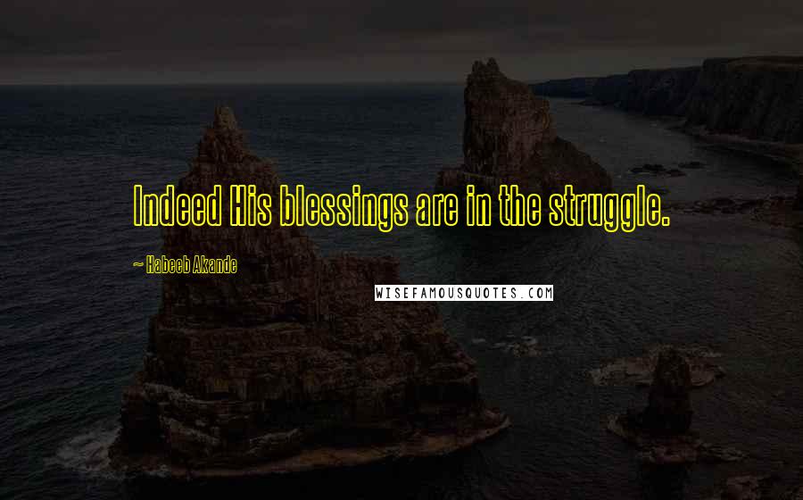 Habeeb Akande Quotes: Indeed His blessings are in the struggle.