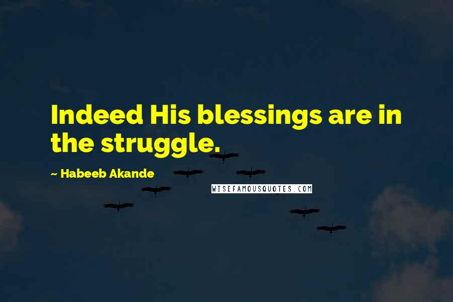 Habeeb Akande Quotes: Indeed His blessings are in the struggle.