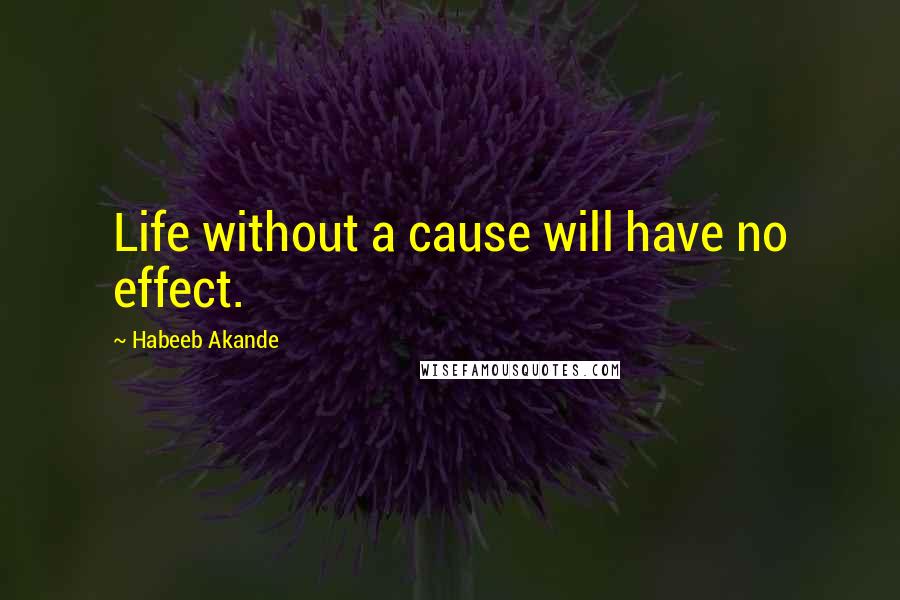 Habeeb Akande Quotes: Life without a cause will have no effect.