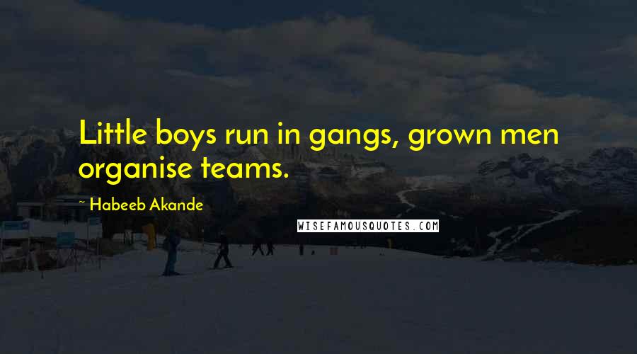 Habeeb Akande Quotes: Little boys run in gangs, grown men organise teams.
