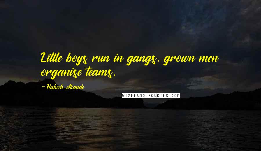 Habeeb Akande Quotes: Little boys run in gangs, grown men organise teams.