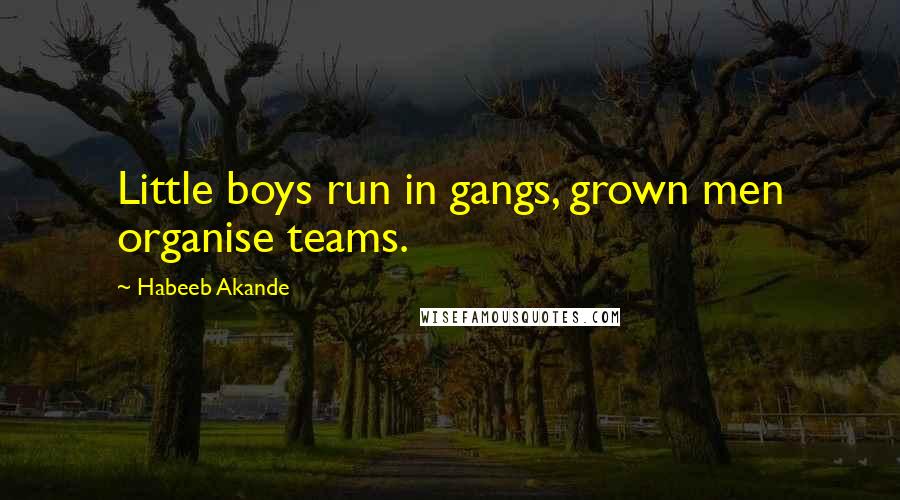 Habeeb Akande Quotes: Little boys run in gangs, grown men organise teams.