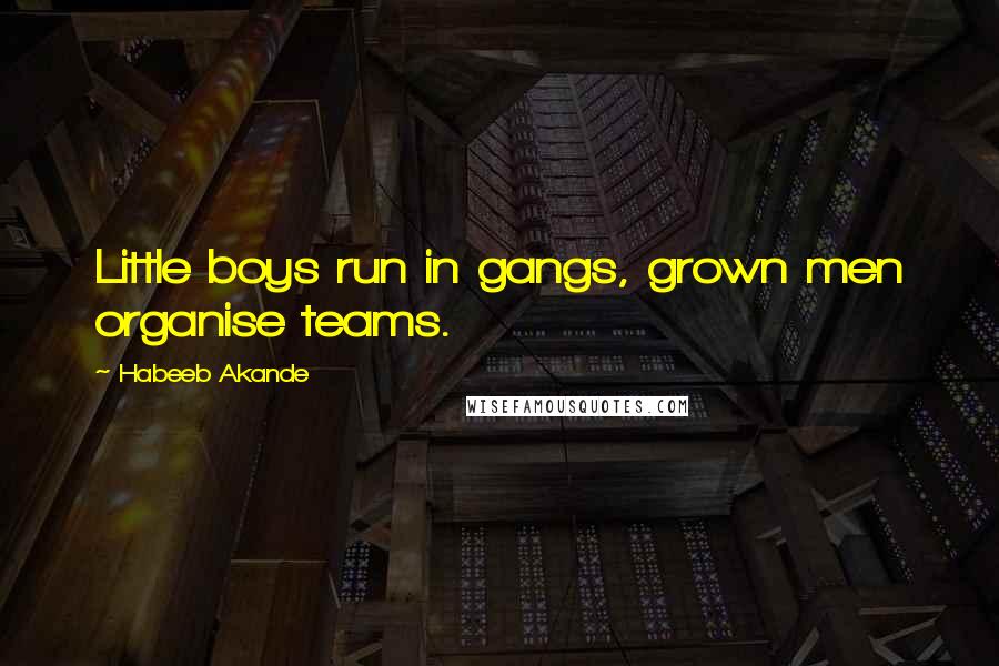 Habeeb Akande Quotes: Little boys run in gangs, grown men organise teams.