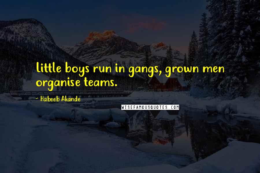 Habeeb Akande Quotes: Little boys run in gangs, grown men organise teams.