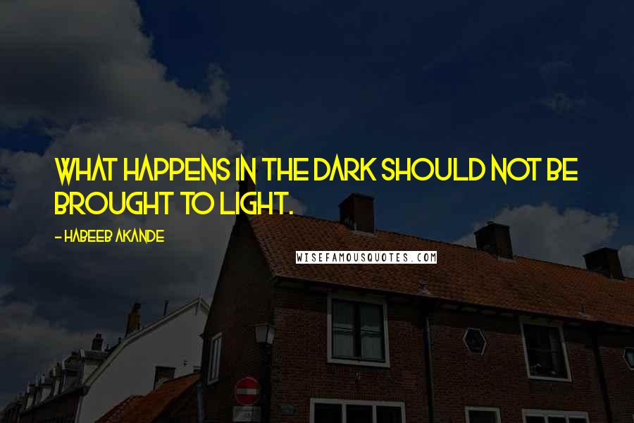 Habeeb Akande Quotes: What happens in the dark should not be brought to light.