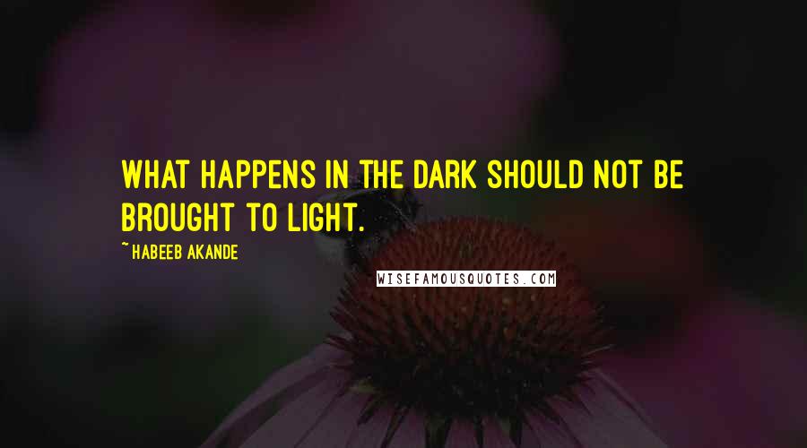 Habeeb Akande Quotes: What happens in the dark should not be brought to light.