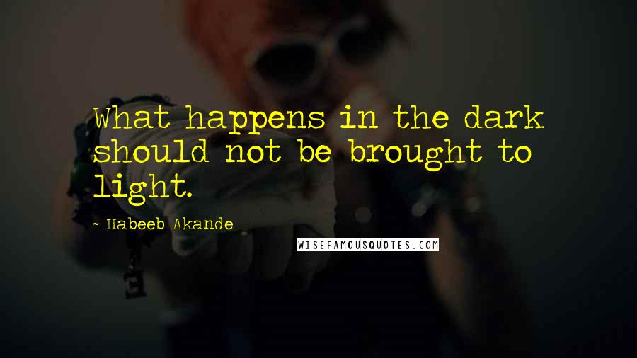 Habeeb Akande Quotes: What happens in the dark should not be brought to light.