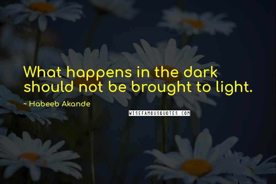 Habeeb Akande Quotes: What happens in the dark should not be brought to light.