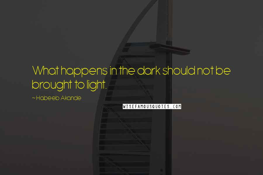 Habeeb Akande Quotes: What happens in the dark should not be brought to light.