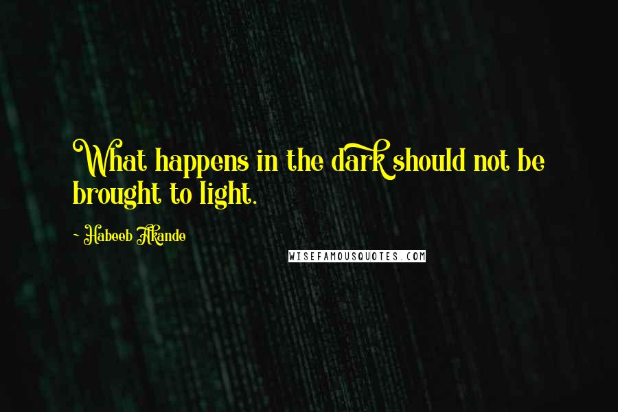 Habeeb Akande Quotes: What happens in the dark should not be brought to light.