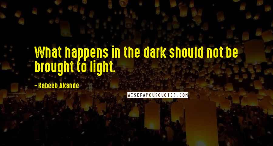 Habeeb Akande Quotes: What happens in the dark should not be brought to light.