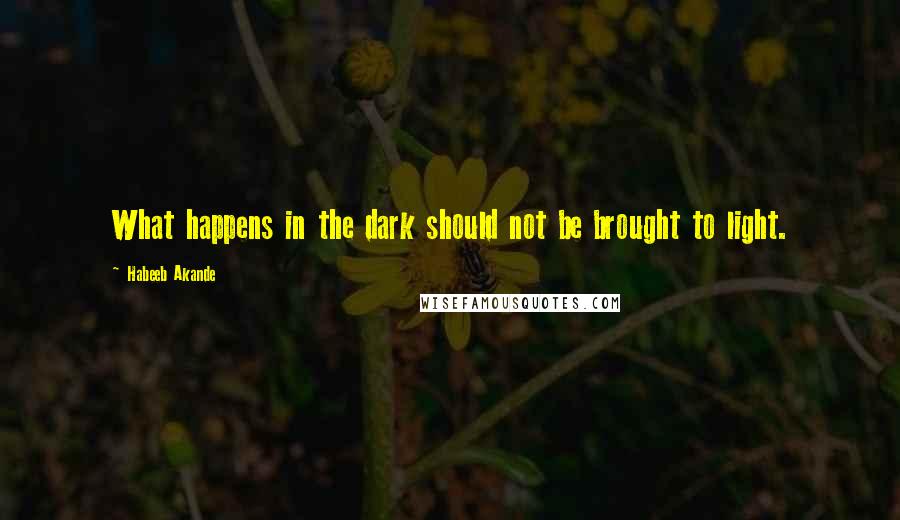 Habeeb Akande Quotes: What happens in the dark should not be brought to light.