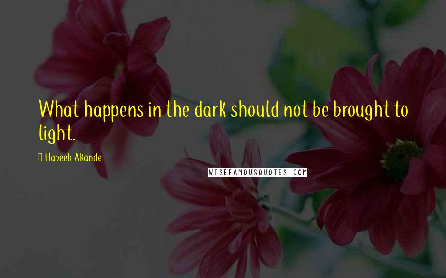 Habeeb Akande Quotes: What happens in the dark should not be brought to light.