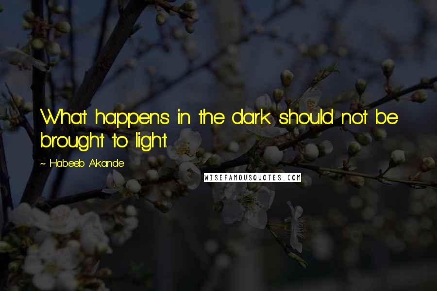 Habeeb Akande Quotes: What happens in the dark should not be brought to light.