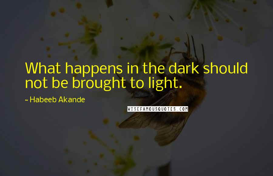 Habeeb Akande Quotes: What happens in the dark should not be brought to light.