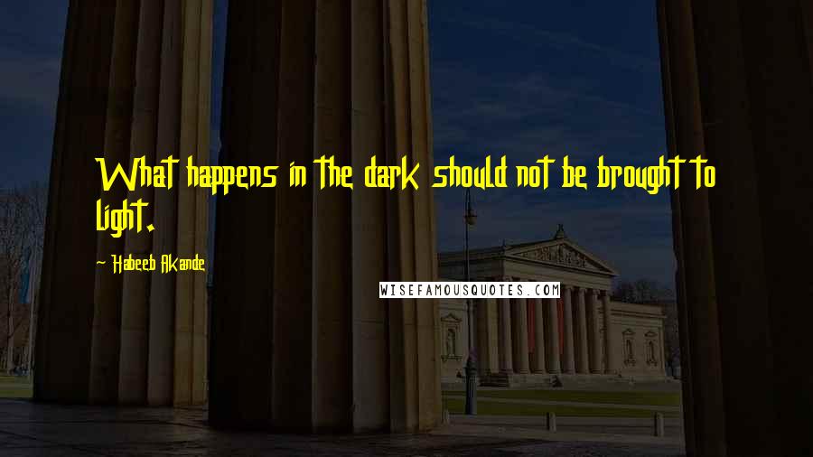 Habeeb Akande Quotes: What happens in the dark should not be brought to light.