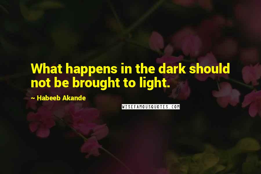 Habeeb Akande Quotes: What happens in the dark should not be brought to light.