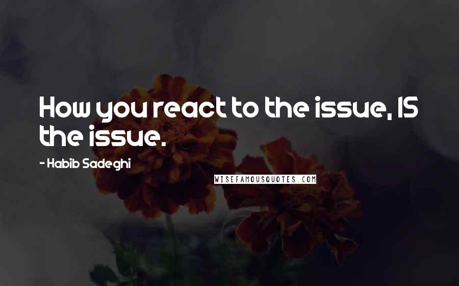 Habib Sadeghi Quotes: How you react to the issue, IS the issue.
