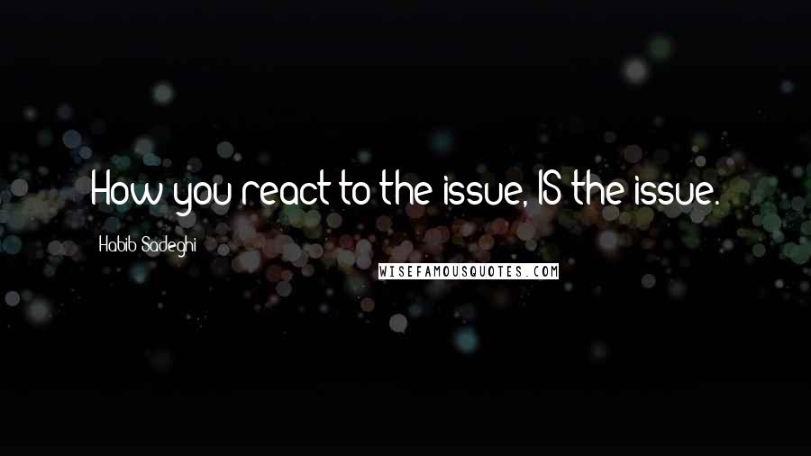 Habib Sadeghi Quotes: How you react to the issue, IS the issue.