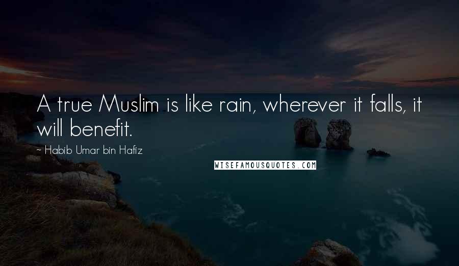 Habib Umar Bin Hafiz Quotes: A true Muslim is like rain, wherever it falls, it will benefit.