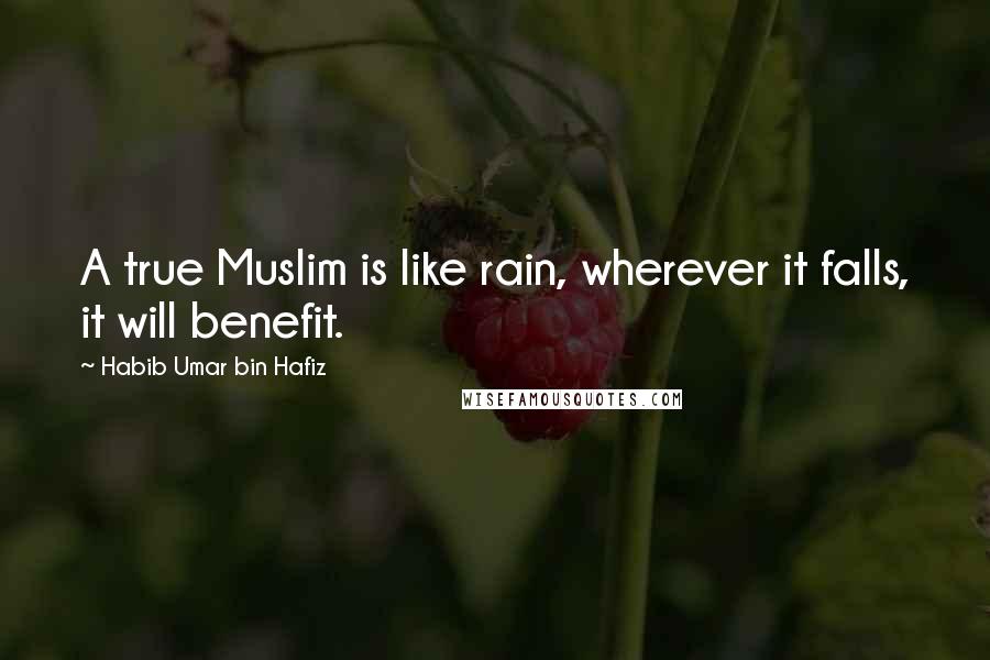 Habib Umar Bin Hafiz Quotes: A true Muslim is like rain, wherever it falls, it will benefit.