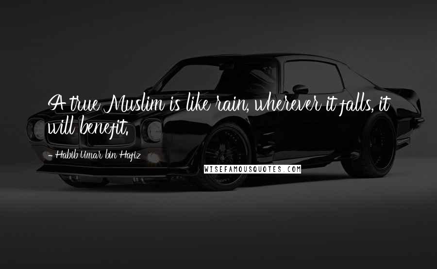 Habib Umar Bin Hafiz Quotes: A true Muslim is like rain, wherever it falls, it will benefit.