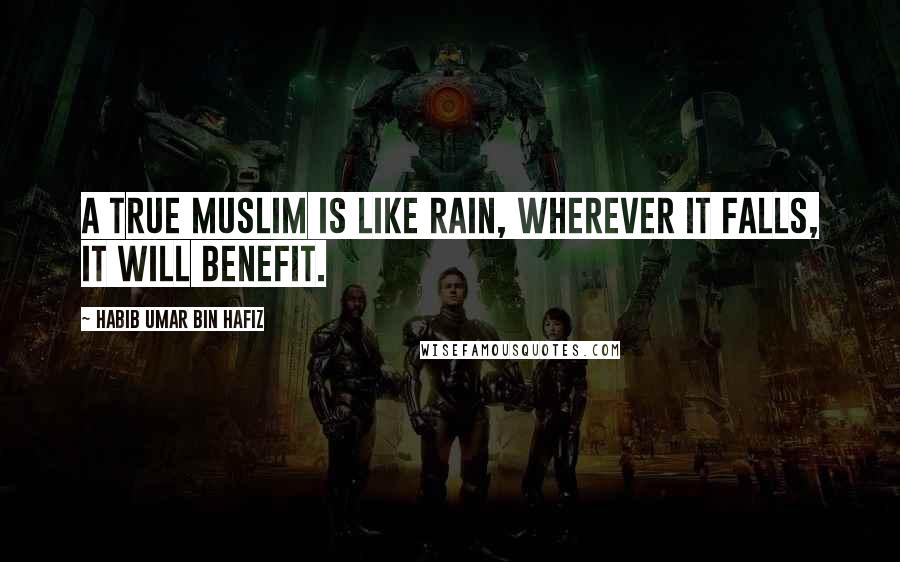 Habib Umar Bin Hafiz Quotes: A true Muslim is like rain, wherever it falls, it will benefit.