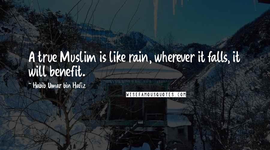 Habib Umar Bin Hafiz Quotes: A true Muslim is like rain, wherever it falls, it will benefit.