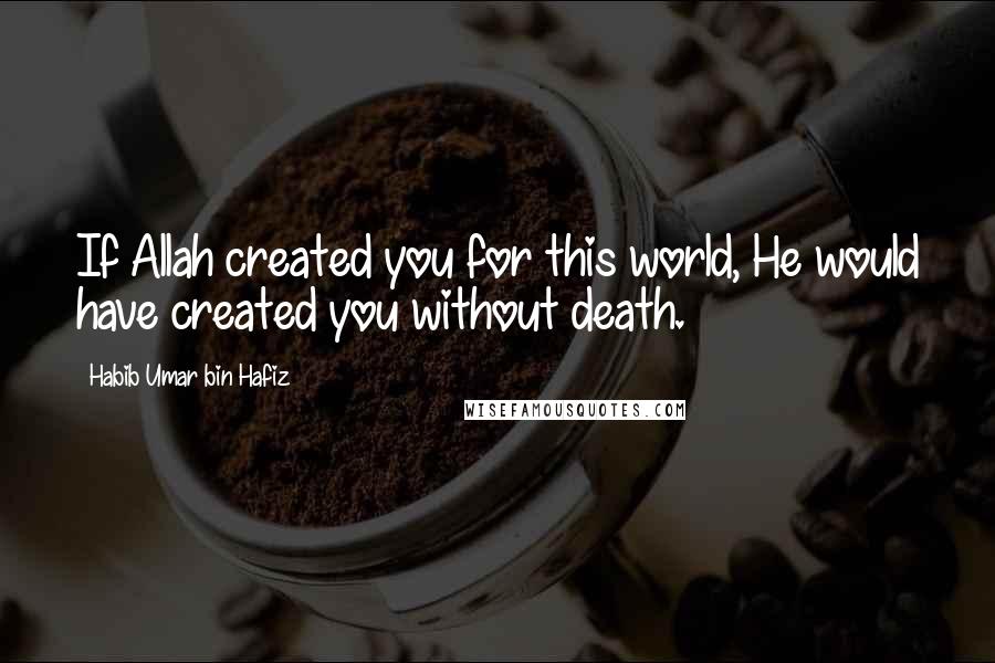 Habib Umar Bin Hafiz Quotes: If Allah created you for this world, He would have created you without death.