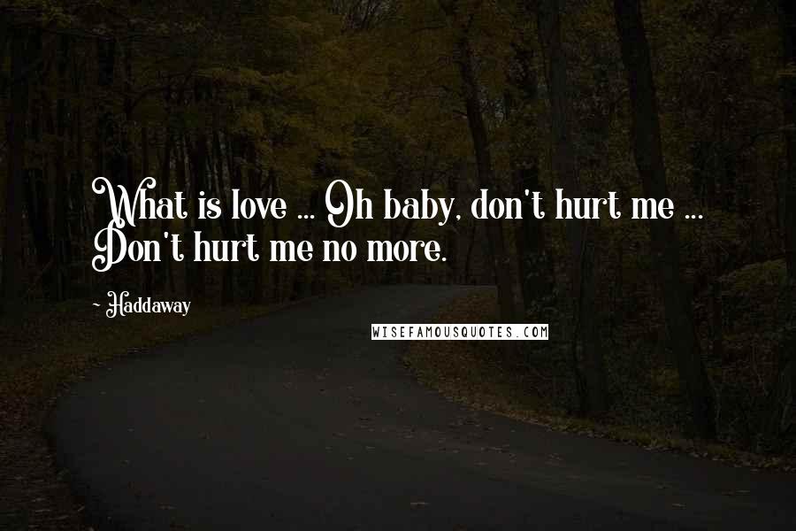 Haddaway Quotes: What is love ... Oh baby, don't hurt me ... Don't hurt me no more.