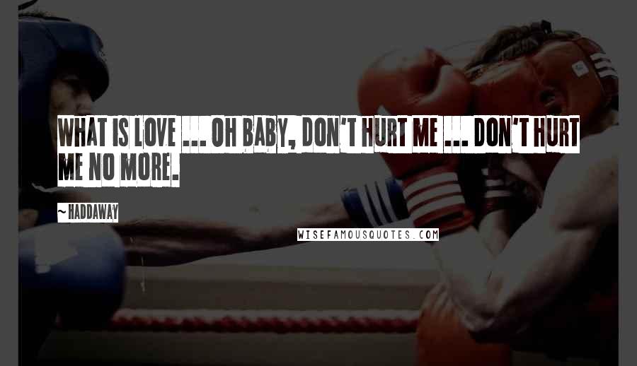 Haddaway Quotes: What is love ... Oh baby, don't hurt me ... Don't hurt me no more.