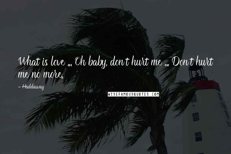 Haddaway Quotes: What is love ... Oh baby, don't hurt me ... Don't hurt me no more.