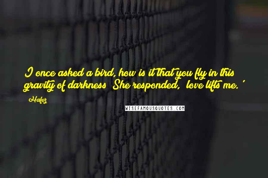 Hafez Quotes: I once asked a bird, how is it that you fly in this gravity of darkness? She responded, 'love lifts me.'