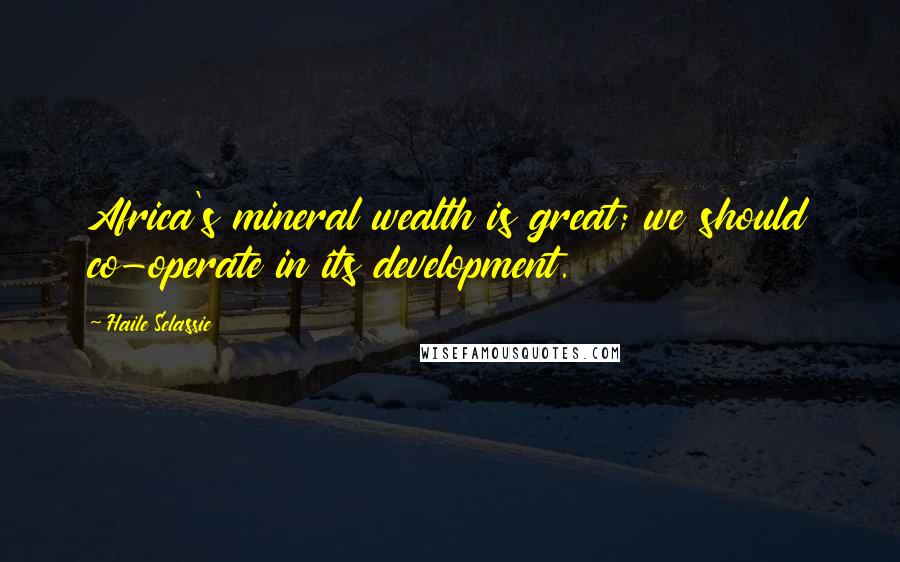 Haile Selassie Quotes: Africa's mineral wealth is great; we should co-operate in its development.