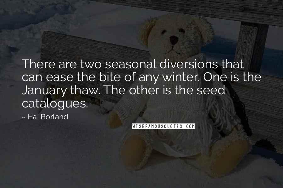 Hal Borland Quotes: There are two seasonal diversions that can ease the bite of any winter. One is the January thaw. The other is the seed catalogues.