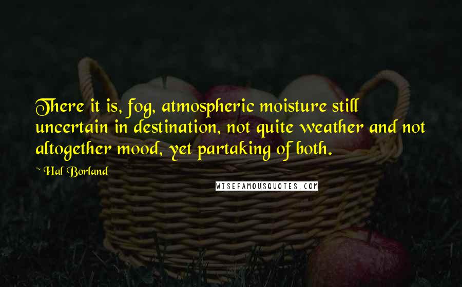 Hal Borland Quotes: There it is, fog, atmospheric moisture still uncertain in destination, not quite weather and not altogether mood, yet partaking of both.